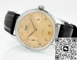 Replica IWC Portugieser IW501705 APS factory Folding clasp - Image 11