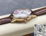 Replica Omega De Ville 434.53.40.20.02.001 N1 Factory Dark brown strap - Image 6