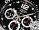 Replica Longines Conquest L3.883.4.56.9 TW Factory - Image 13