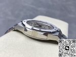 Replica Chopard Snow Mountain Pride 298600-3005 GH Factory Electroplating gray - Image 5